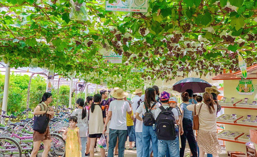 fruit garden in Suoi Tien
