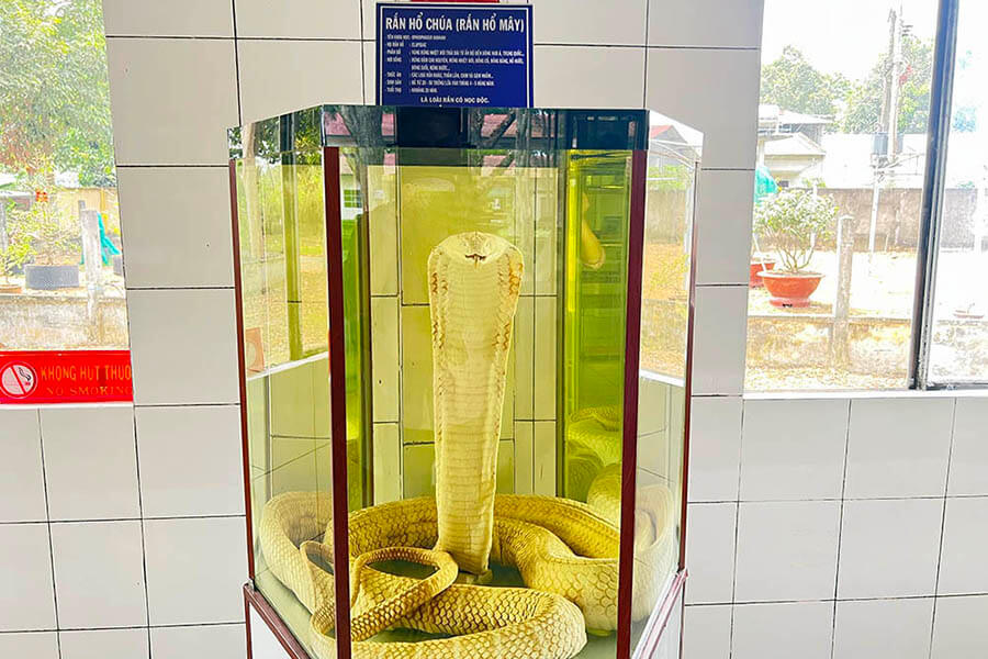 Dong Tam Snake Farm