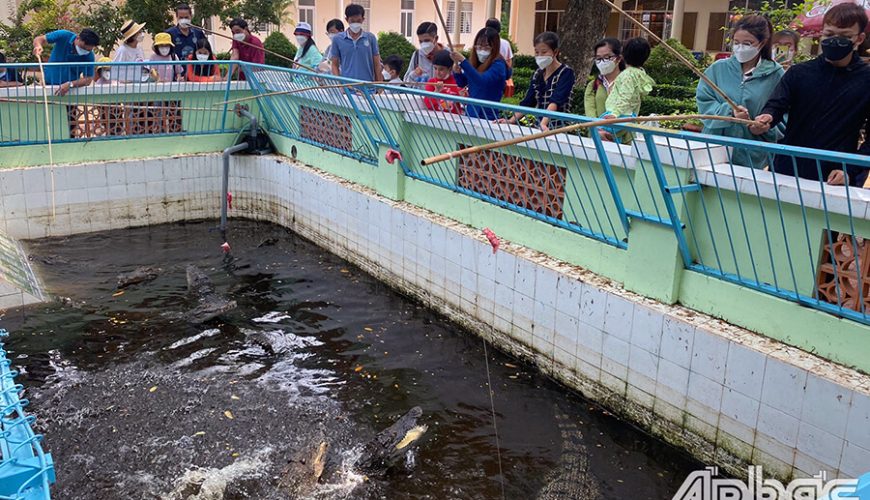 Dong Tam Snake Farm