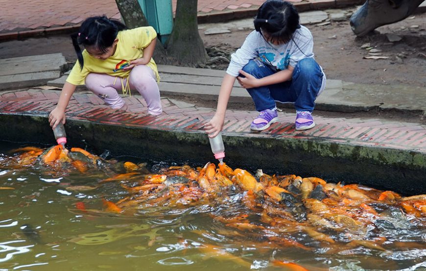 Mekong Delta 2 day tour: My Tho – Vinh Long – Can Tho