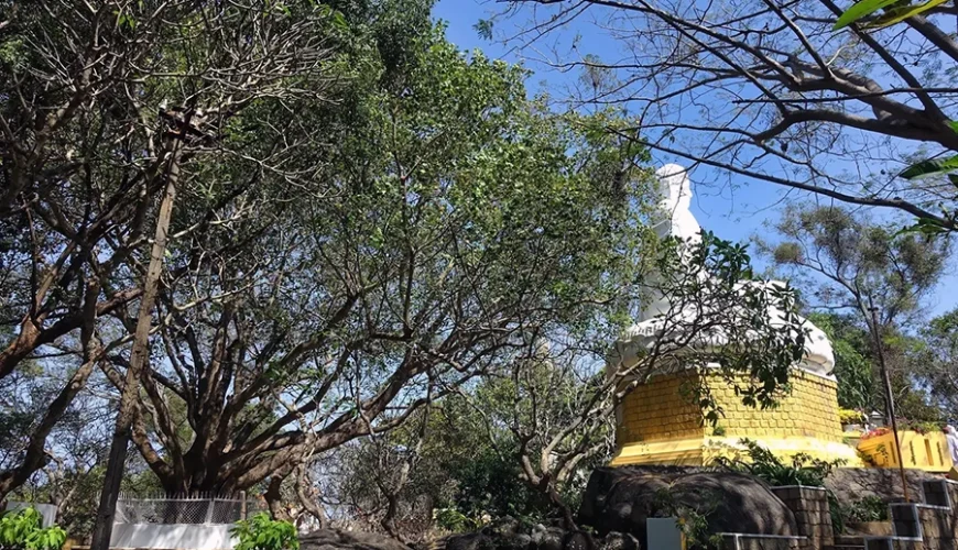 Thích Ca Phật Đài
