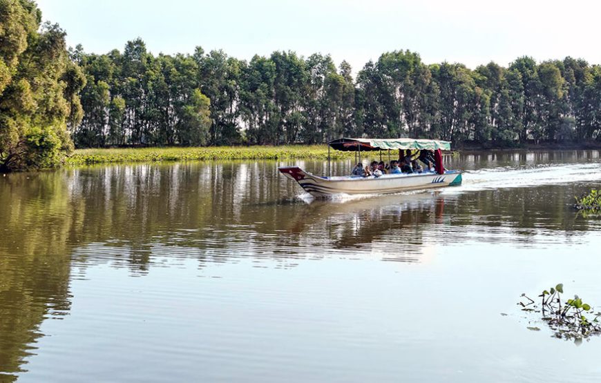 2-Day Tour to Mekong Delta-Gieng Islet-Tram Chim National Park
