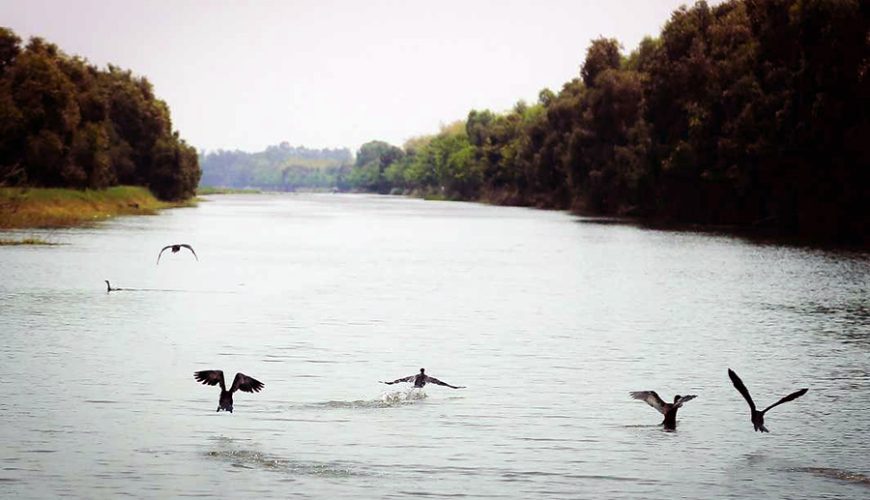 Vam Ho Bird Sanctuary