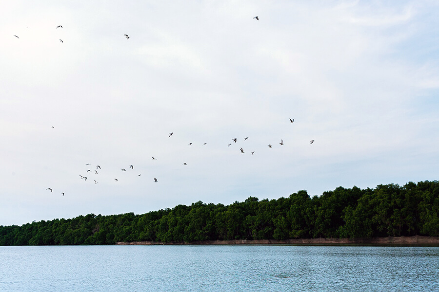 Vam Ho Bird Sanctuary