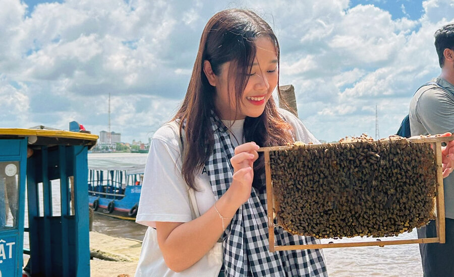 bee farm in Phung islet