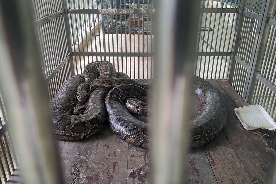 Dong Tam Snake Farm