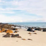 The Best Beaches in Con Dao