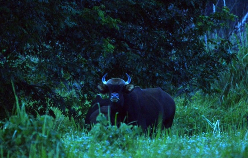 Nam Cat Tien National Park 2 Days 1 Night