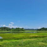 Nam Cat Tien National Park