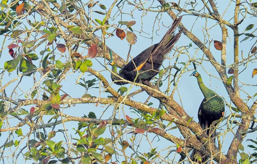 Nam Cat Tien National Park 2 Days 1 Night