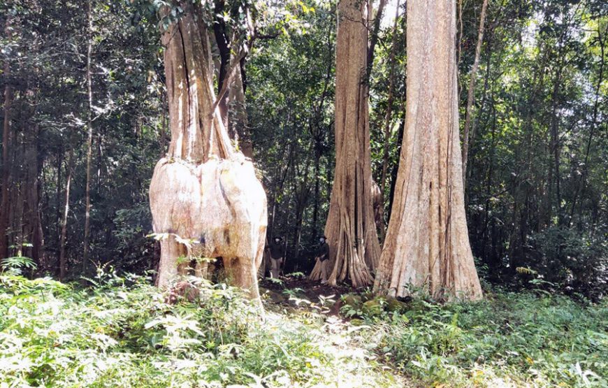 Nam Cat Tien National Park 2 Days 1 Night