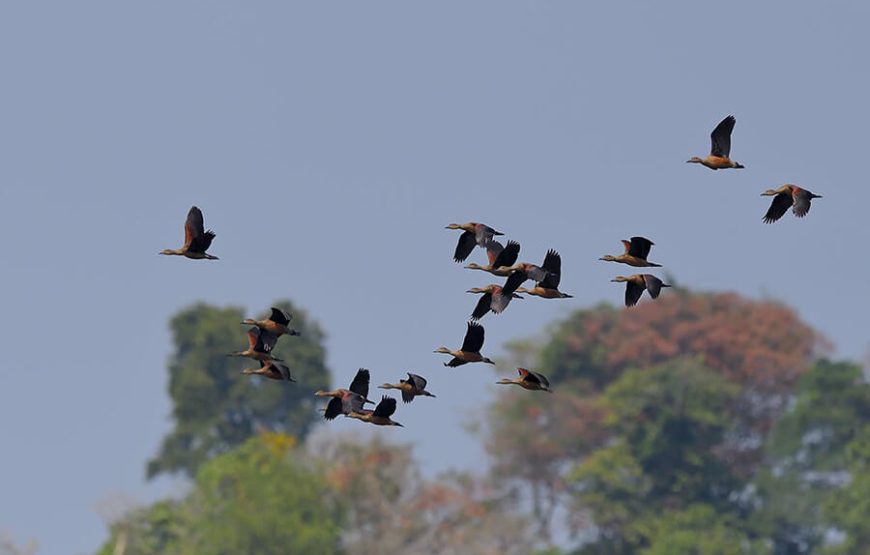 Nam Cat Tien National Park 2 Days 1 Night