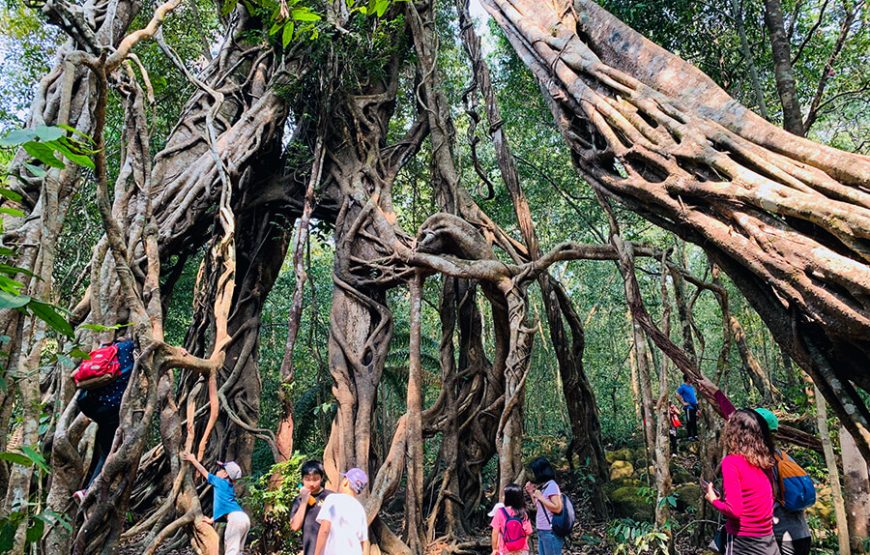 Nam Cat Tien National Park – 3 days 2 nights