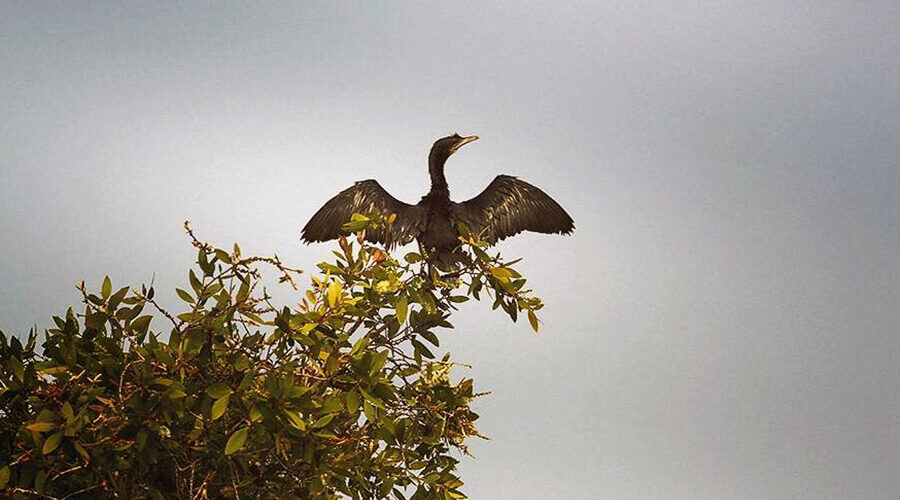 Gao Giong Eco-tourist site
