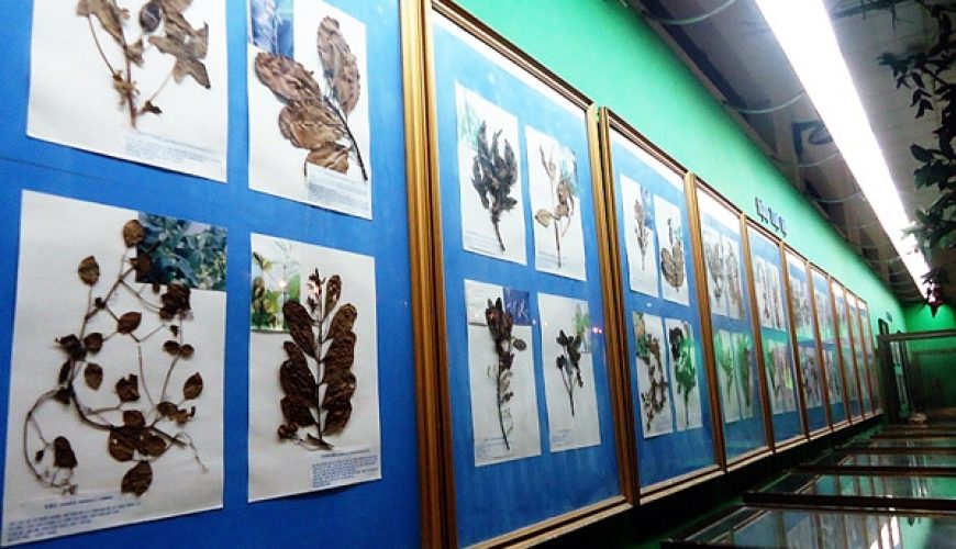 Can Tho Museum