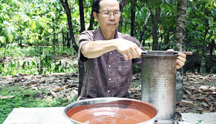 Muoi cuong cocao farm