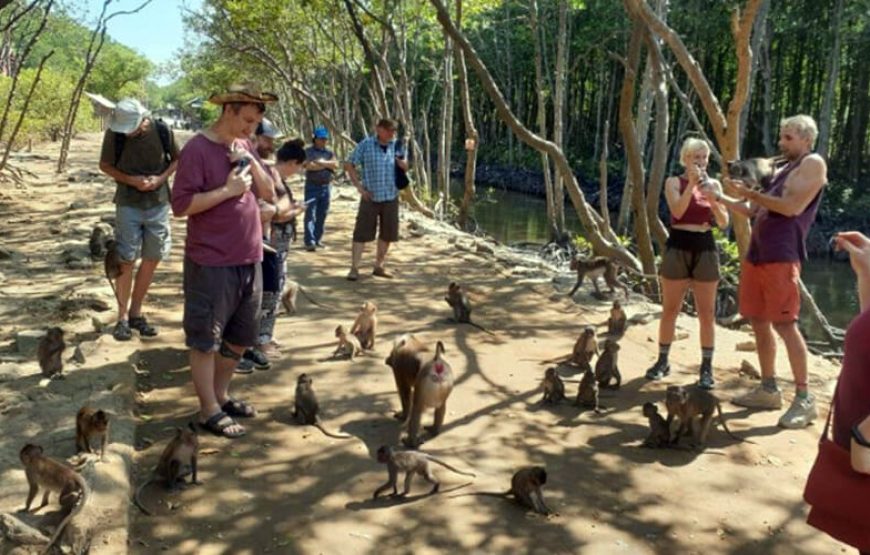 Can Gio Ecological Tour By Bus