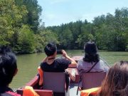 PRIVATE CAN GIO MANGROVE FOREST FOREST FULL DAY