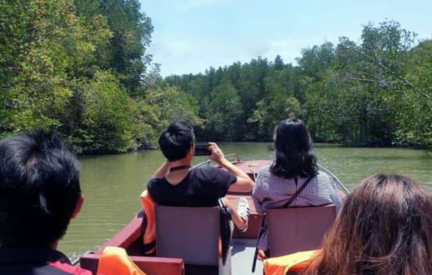 Can Gio Ecological Tour By Bus