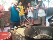 2-Day Mekong Delta Floating Market & Stork Sanctuary from HCM
