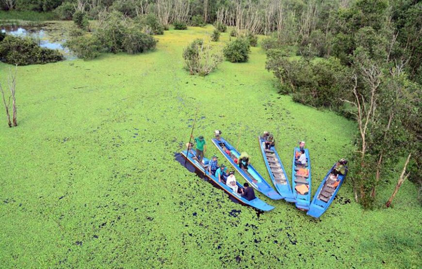 2-Day Tour to Mekong Delta-Gieng Islet-Tram Chim National Park