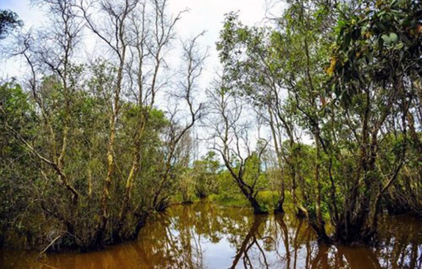 2-Day Tour to Mekong Delta-Gieng Islet-Tram Chim National Park