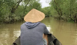 mekong delta tour