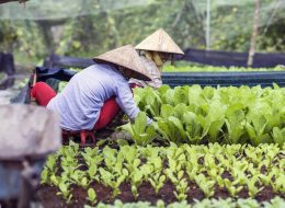 15 Days Countryside Trip Throughout Vietnam