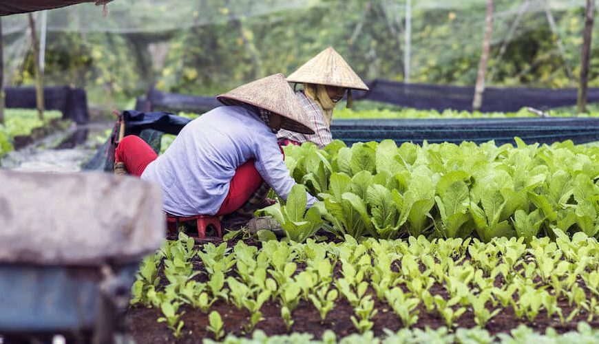 15 Days Countryside Trip Throughout Vietnam