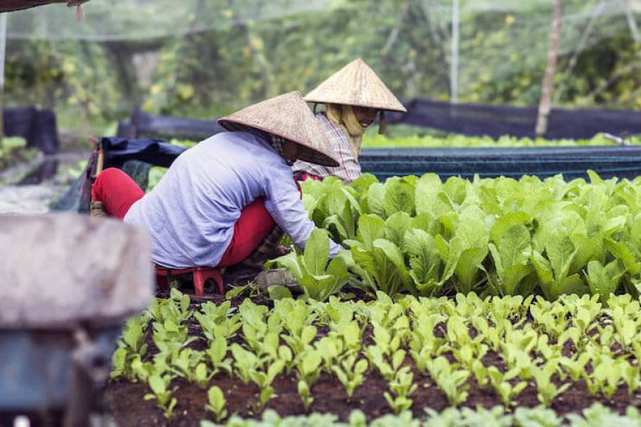 15 Days Countryside Trip Throughout Vietnam