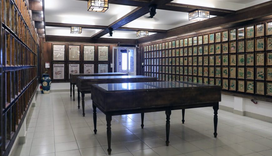 Museum of Traditional Medicine