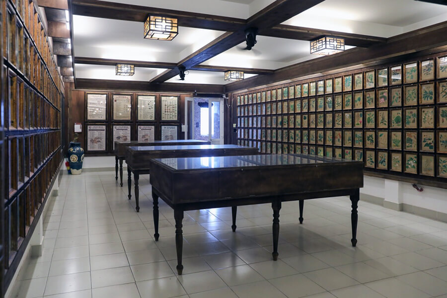 Museum of Traditional Medicine