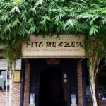 Museum of Traditional Medicine