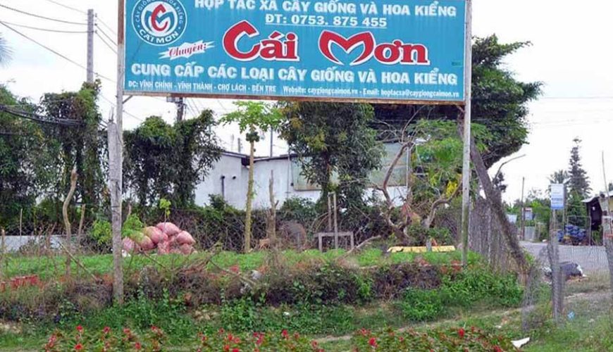 Cai Mon Orchard
