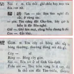 Meaning of the name Saigon