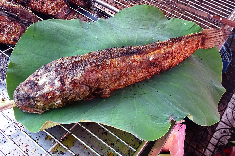 Grilled snakehead
