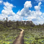 Tan Lap Floating Village