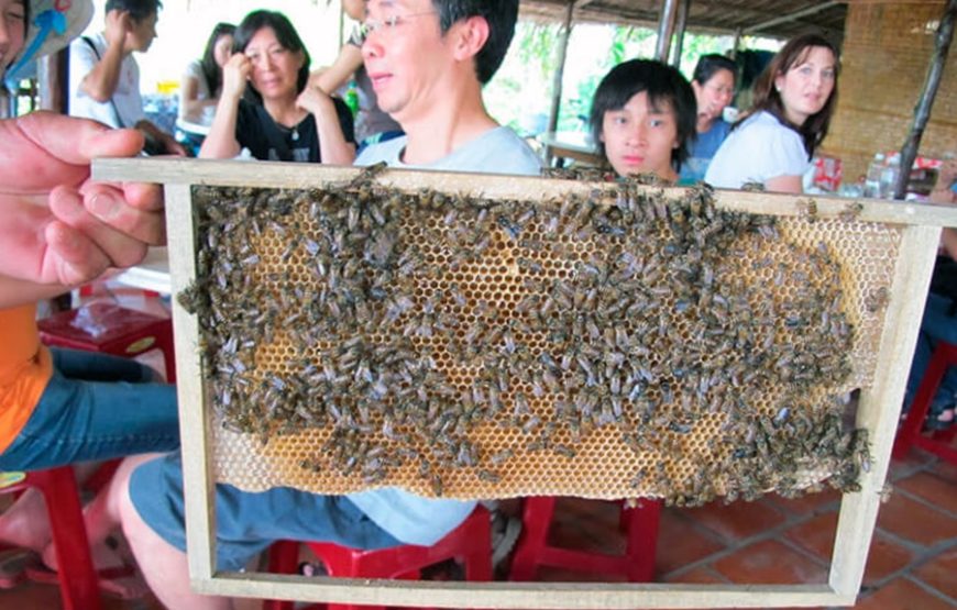 Mekong Delta 1 day tour (My Tho – Vinh Long)