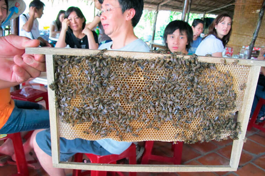 Visit beekeeping farm