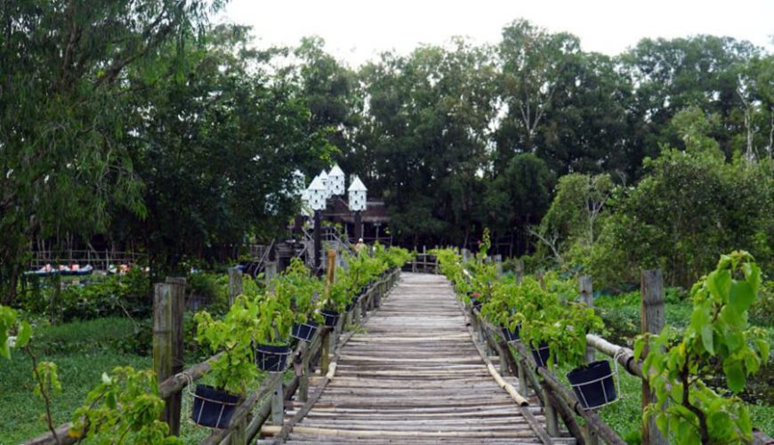 Tra Su Cajuput Forest