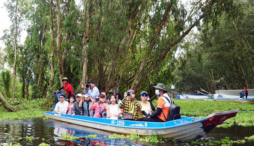 Tra Su Cajuput Forest