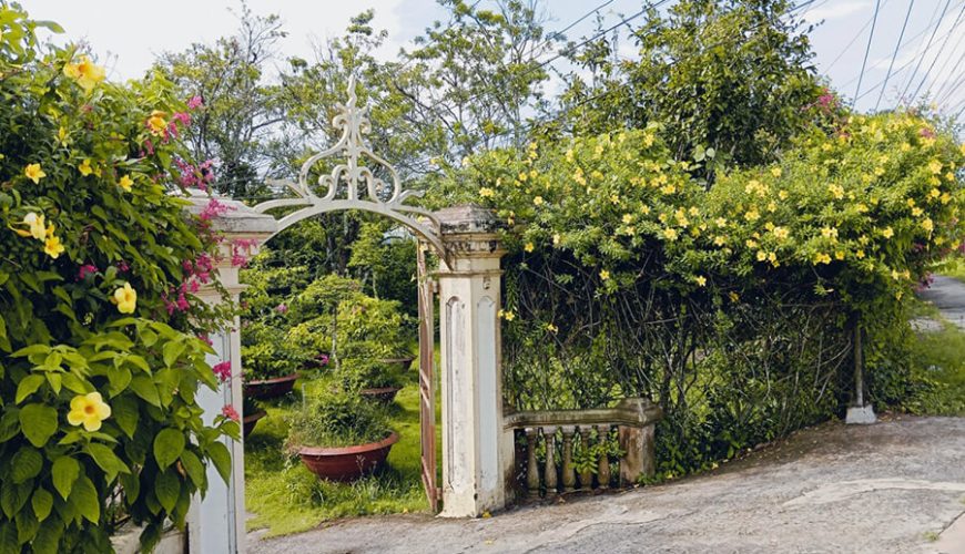 Mr. Phan Van Duc's ancient house