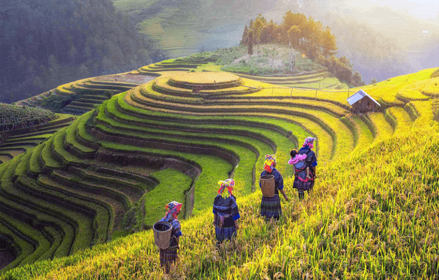15 Days Countryside Trip Throughout Vietnam