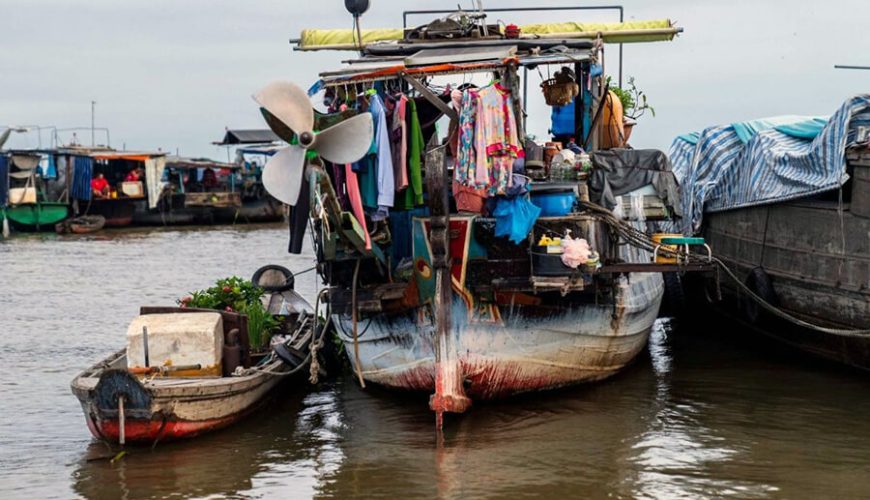 Mekong Delta region on the "cay beo"