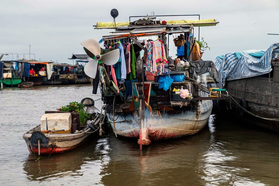 Mekong Delta region on the "cay beo"