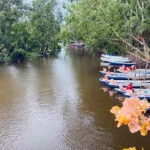 Tra Su Cajuput Forest