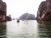 Halong Bay Cruise 2 days 1 night