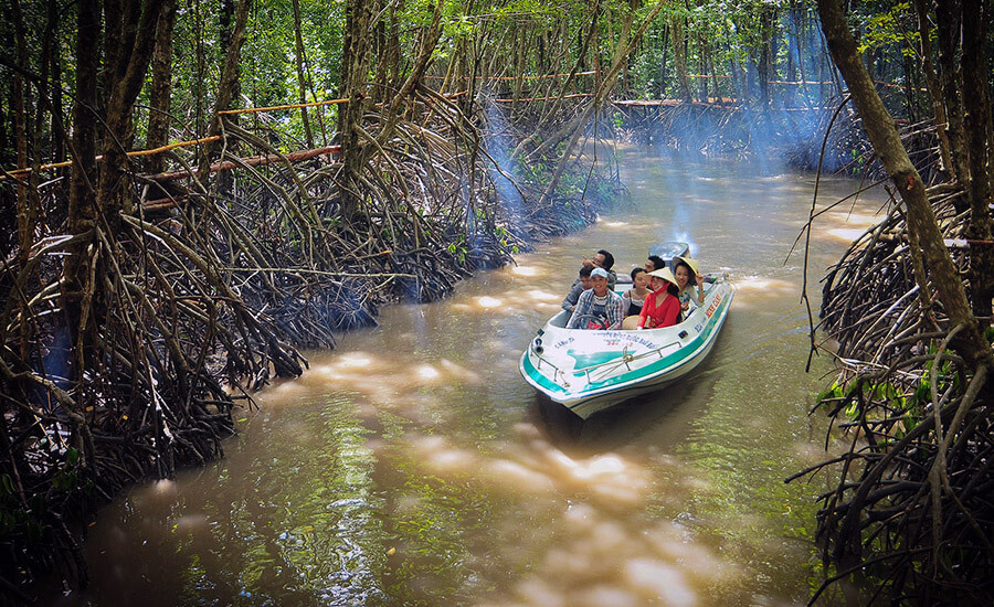 boat trip in mangrove forest in Ca Mau