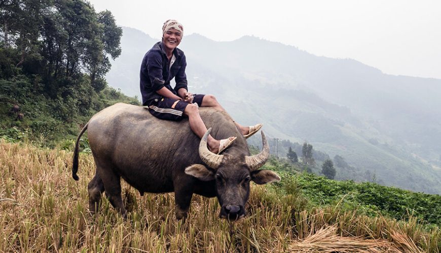 explore Sapa