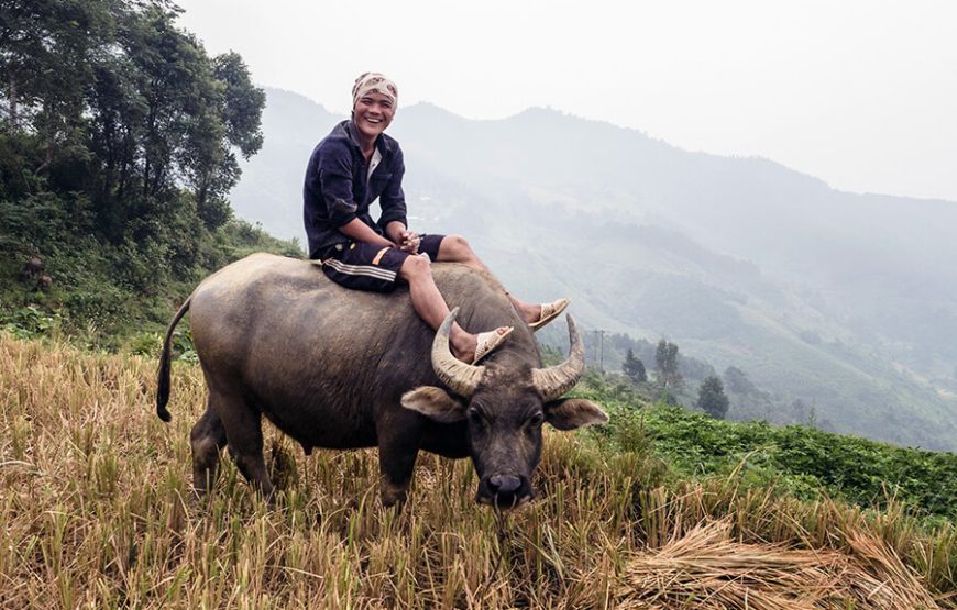 15 Days Countryside Trip Throughout Vietnam